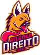 Ativo 1
