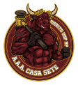 LOGO FDRP - CASA SETE