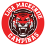 LOGO_LIGAMACK