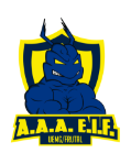 Logo - AAAEIF (png)