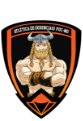 Vikings PUC Gerenciais